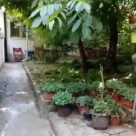 Corner, Peace And Quiet * Belgrade